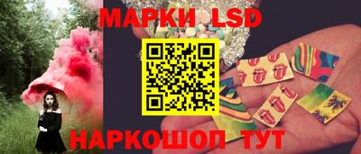 индика Камышлов