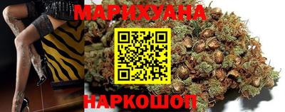 индика Камышлов