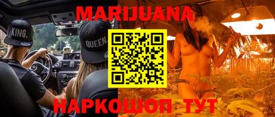 индика Камышлов