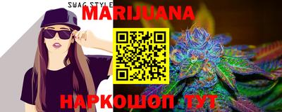 индика Камышлов