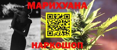 индика Камышлов