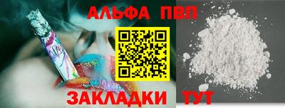 индика Камышлов