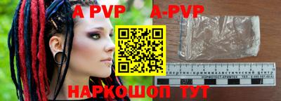 индика Камышлов