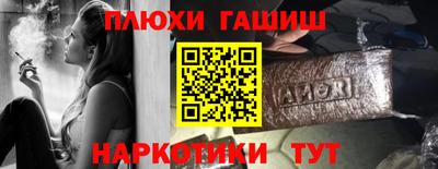 индика Камышлов