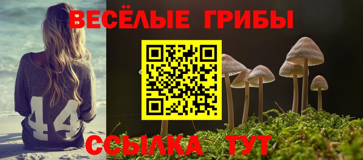 Псилоцибиновые грибы Psilocybe  Вход с VPN  Красноярск 